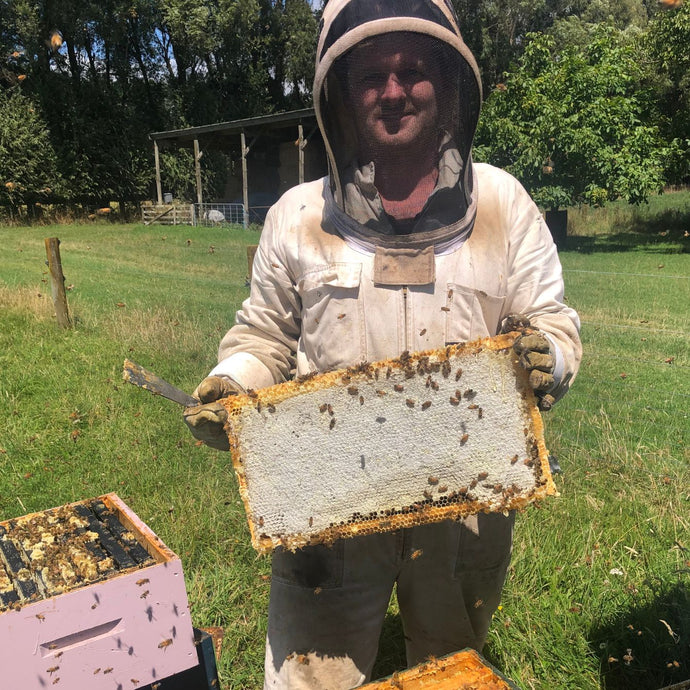 beekeeper holding beehive frame with honeycomb on it