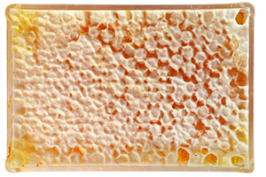 Comb Honey - Mason Brothers' Honey